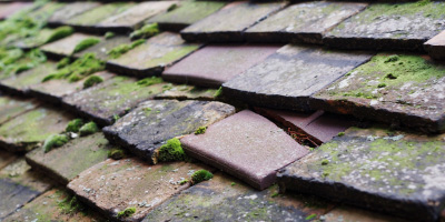 Horsenden roof repair costs